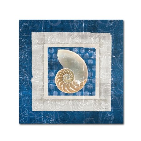 Belinda Aldrich 'Sea Shell II On Blue' Canvas Art,18x18